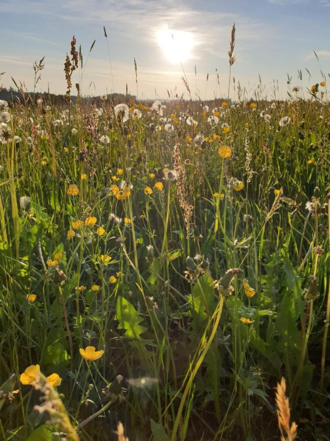 Ferienwohnung Rupp Argenbuhl Zewnętrze zdjęcie