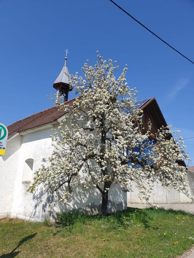 Ferienwohnung Rupp Argenbuhl Zewnętrze zdjęcie